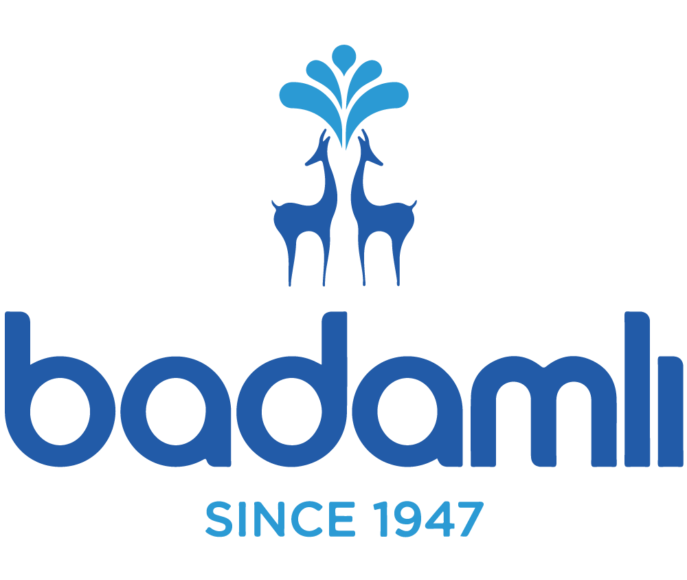 BADAMLI_LOGO
