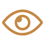 Vision